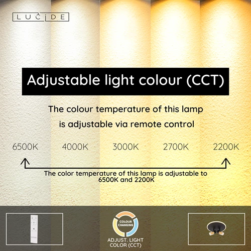 Lucide EVERINA - Flush ceiling light - Ø 30 cm - LED Dim. - CCT - 2200K/6500K - Black | Essential - USP